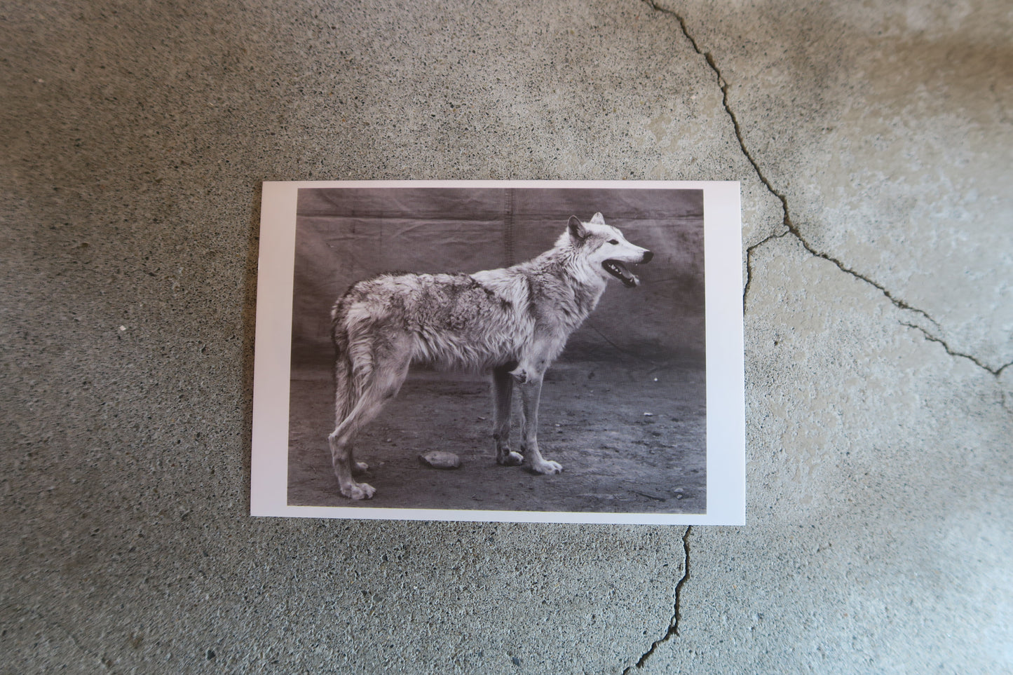 card---selected cards