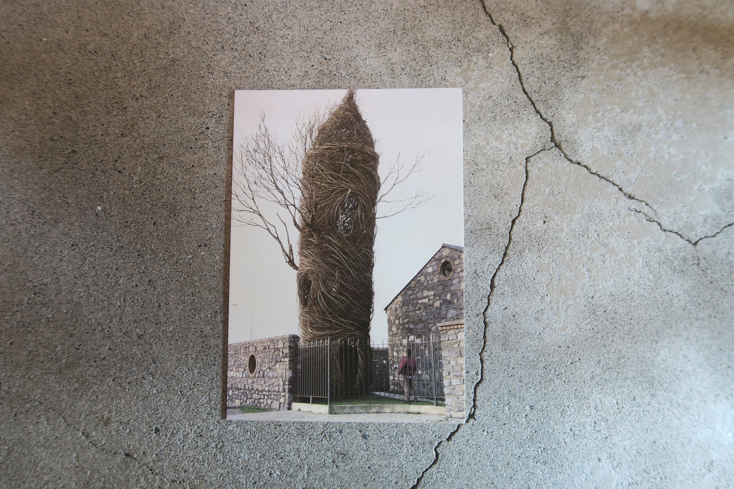 card---selected cards