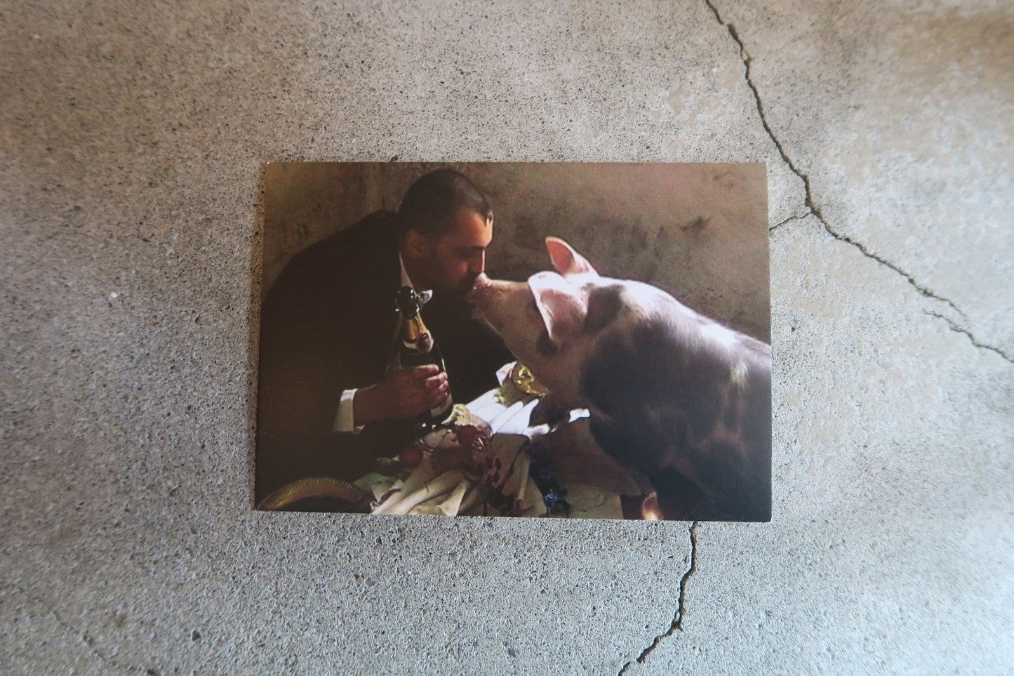 card---selected cards