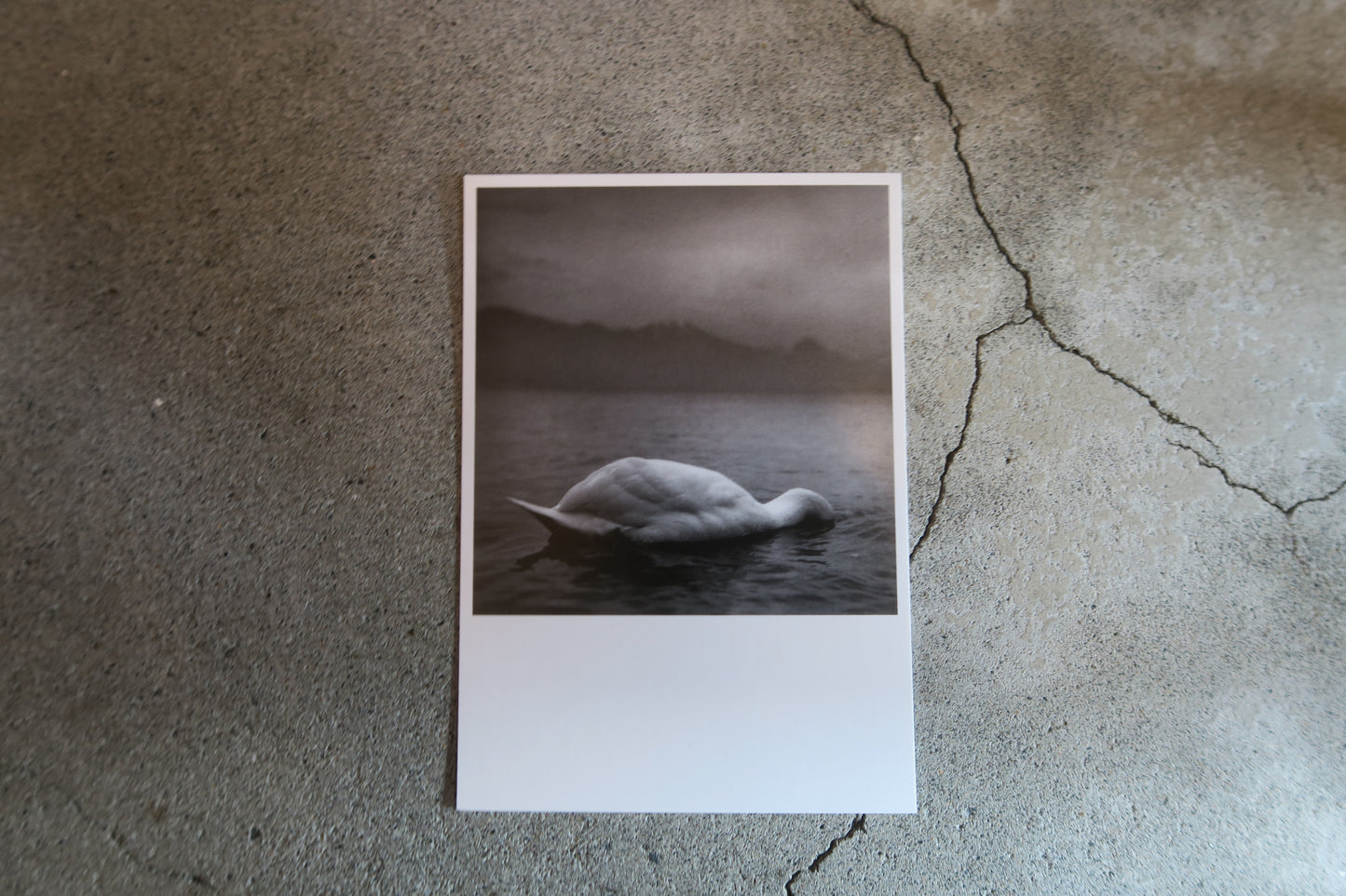 card---selected cards