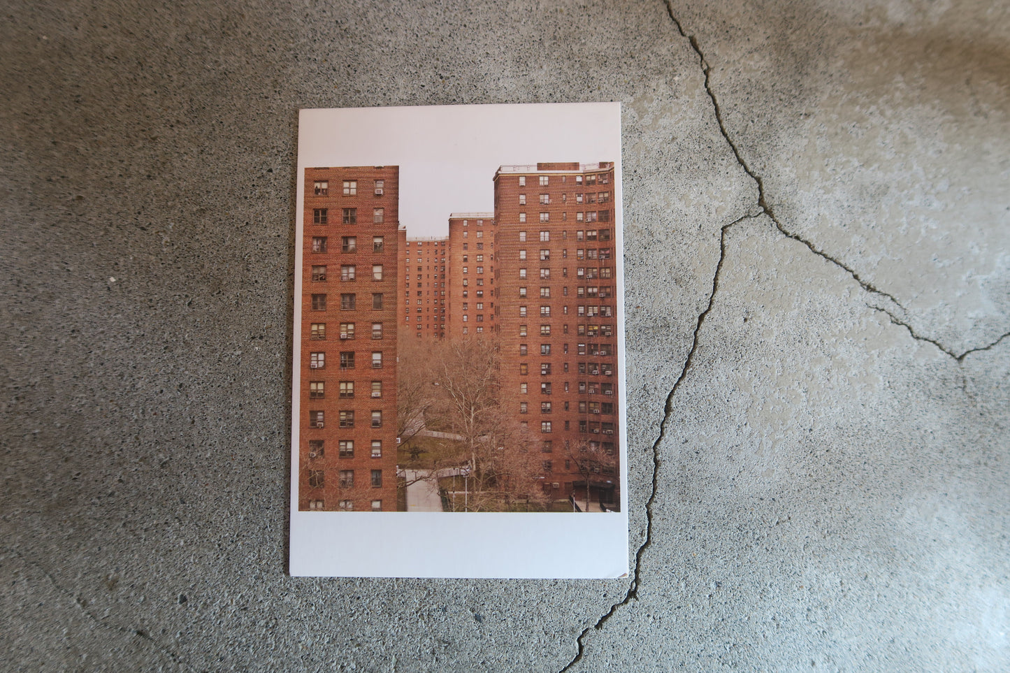 card---selected cards