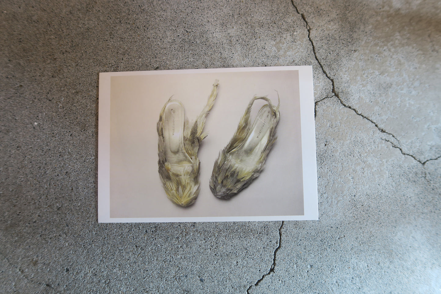 card---selected cards