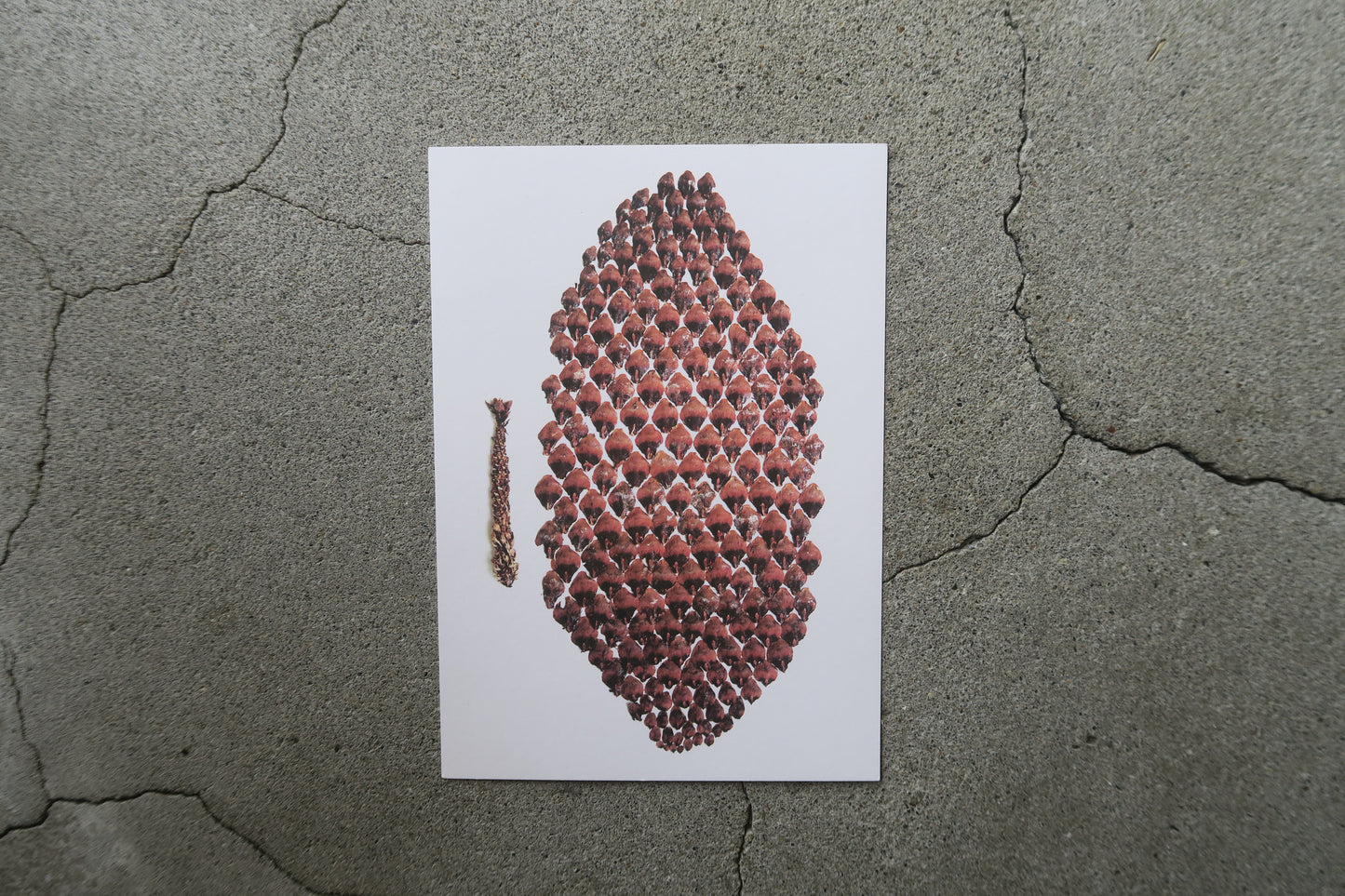 big card--Anu Tuominen