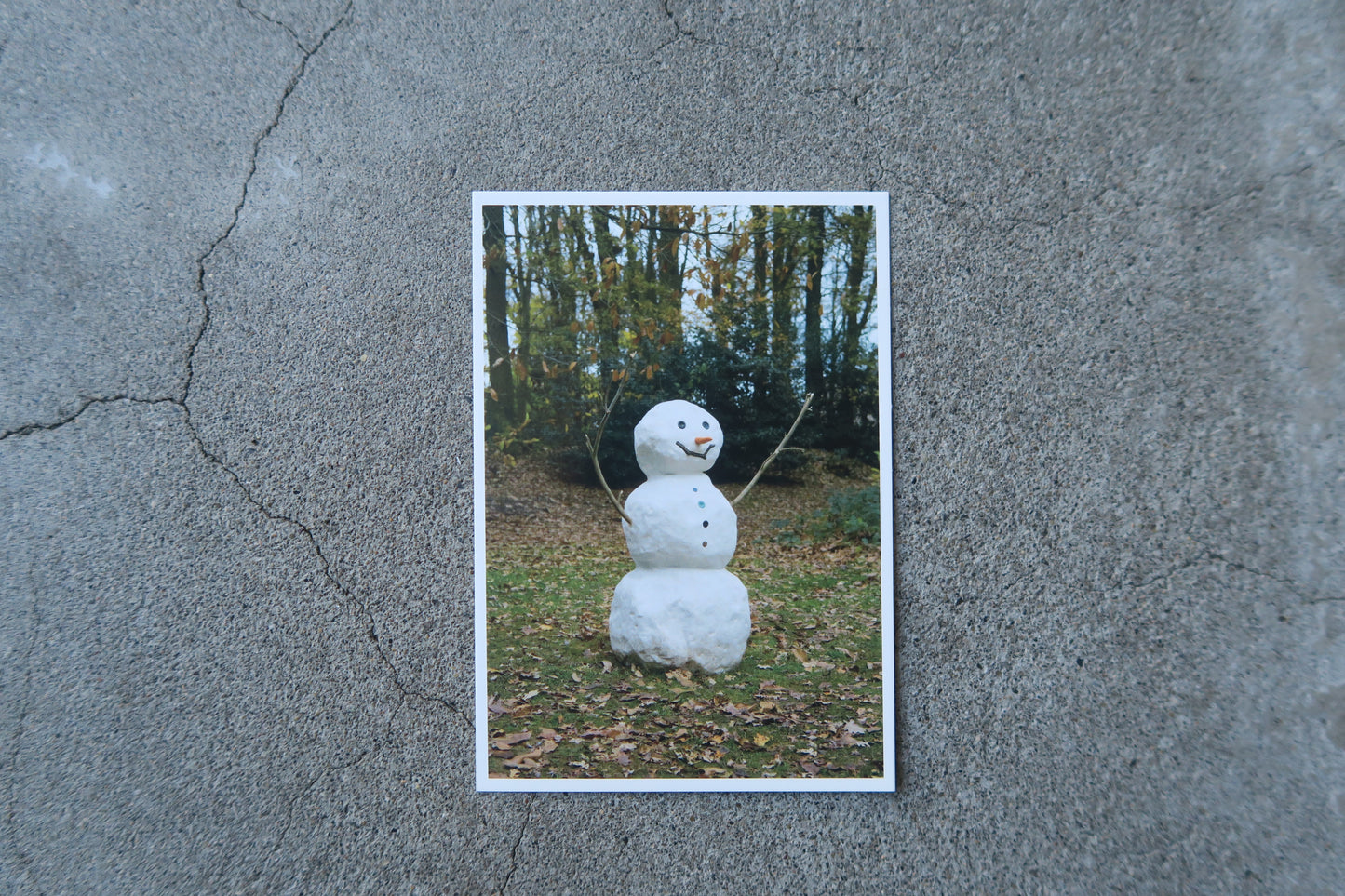 card---selected cards