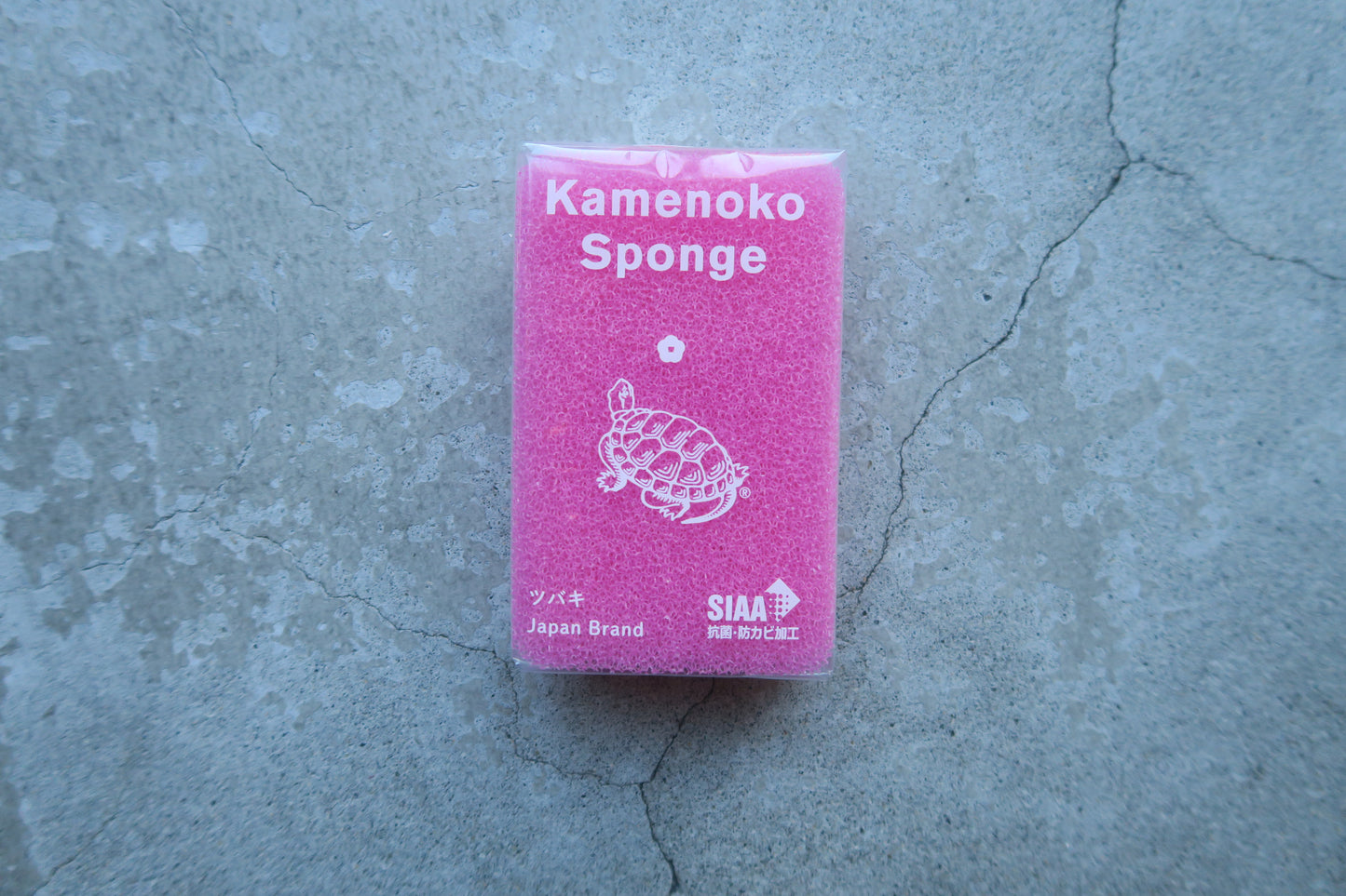 japan---亀の子スポンジ