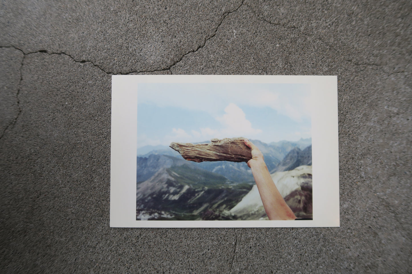 card---selected cards--2026