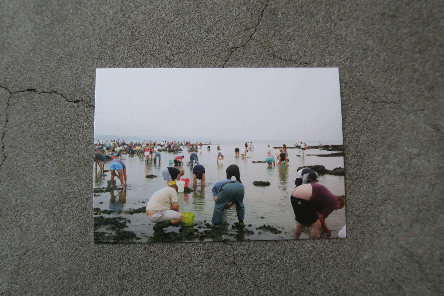 card---selected cards--2026