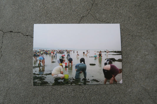 card---selected cards--2026