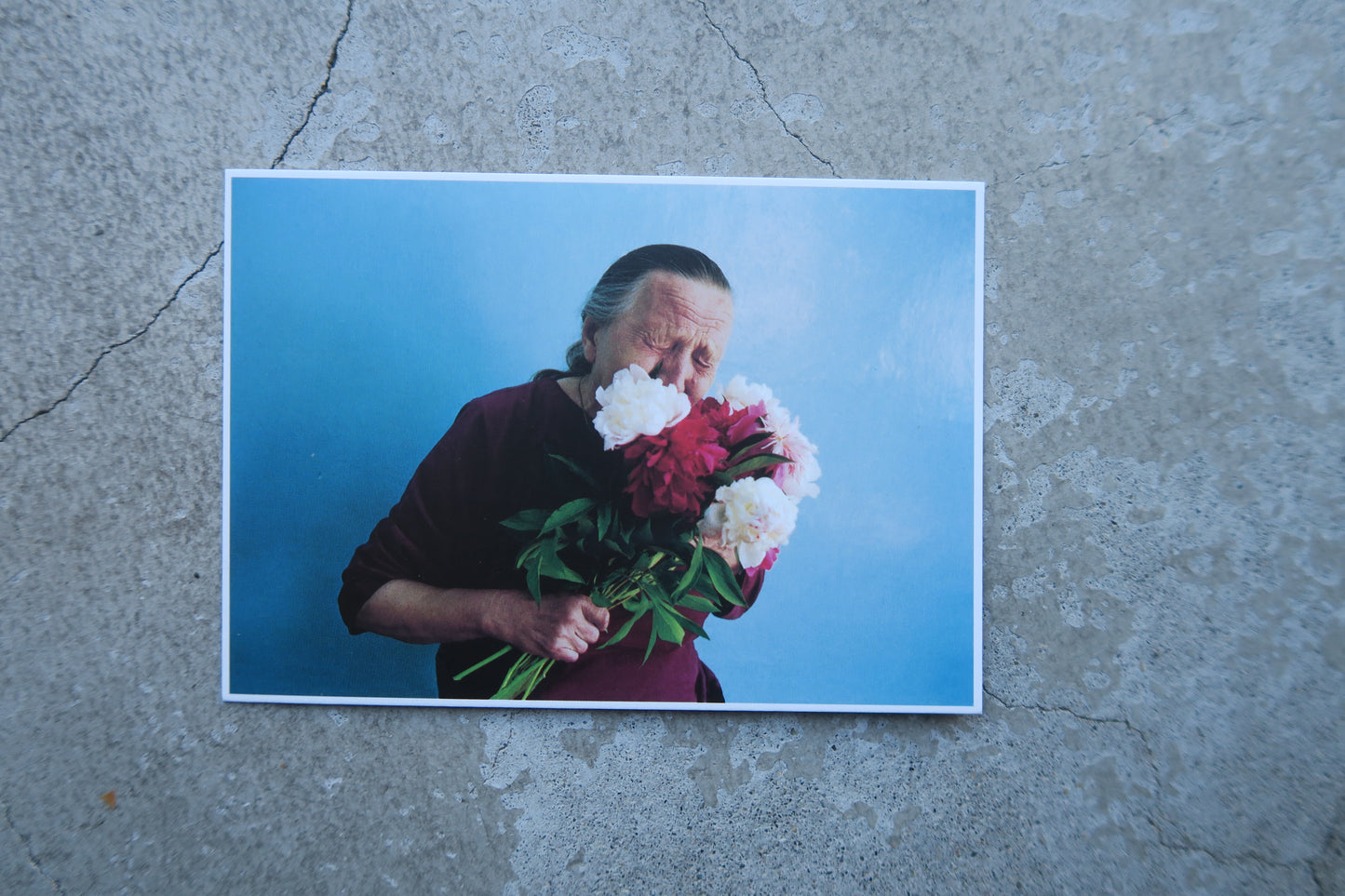 card---selected cards--2026