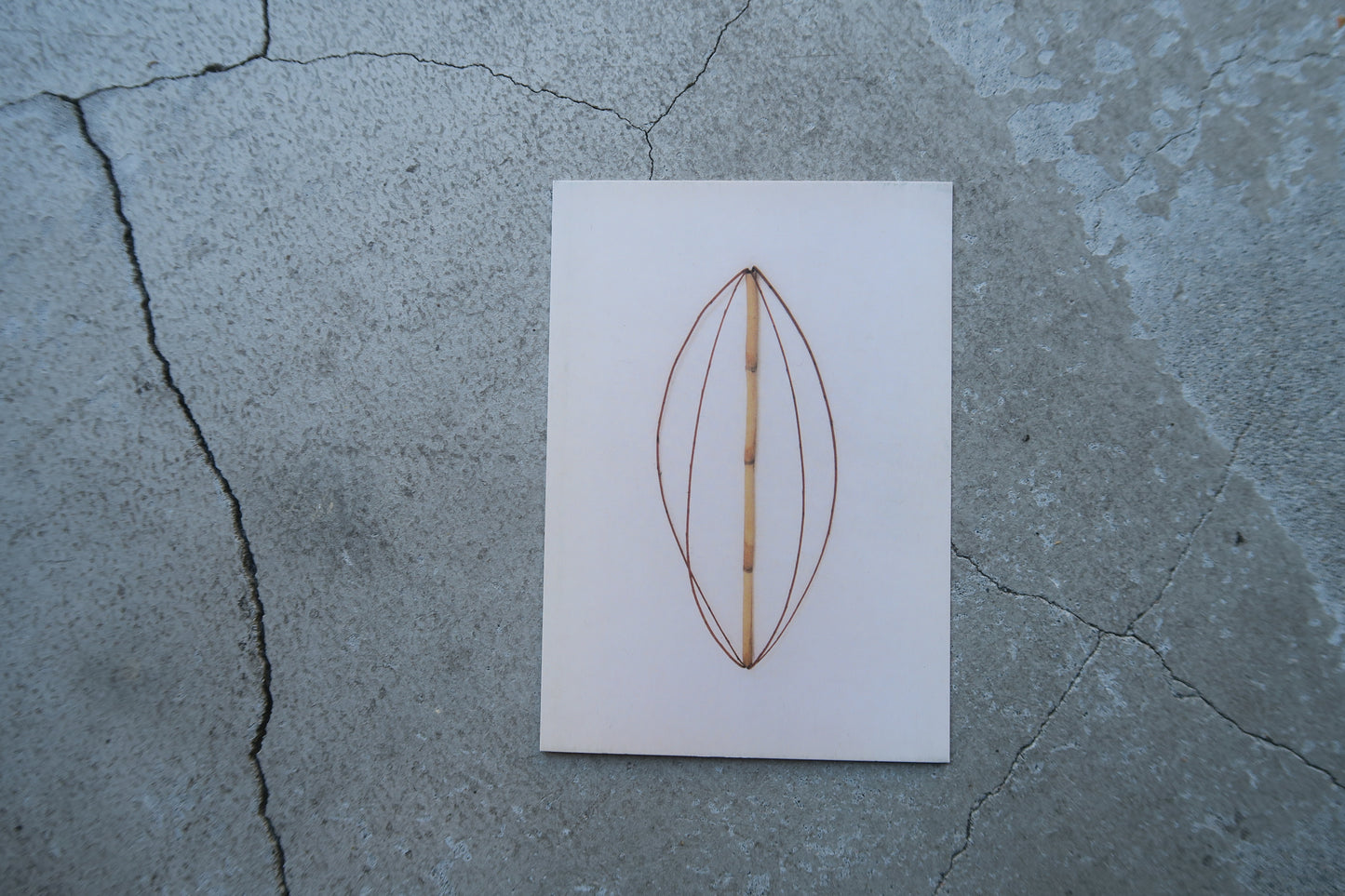 card---selected cards--2026