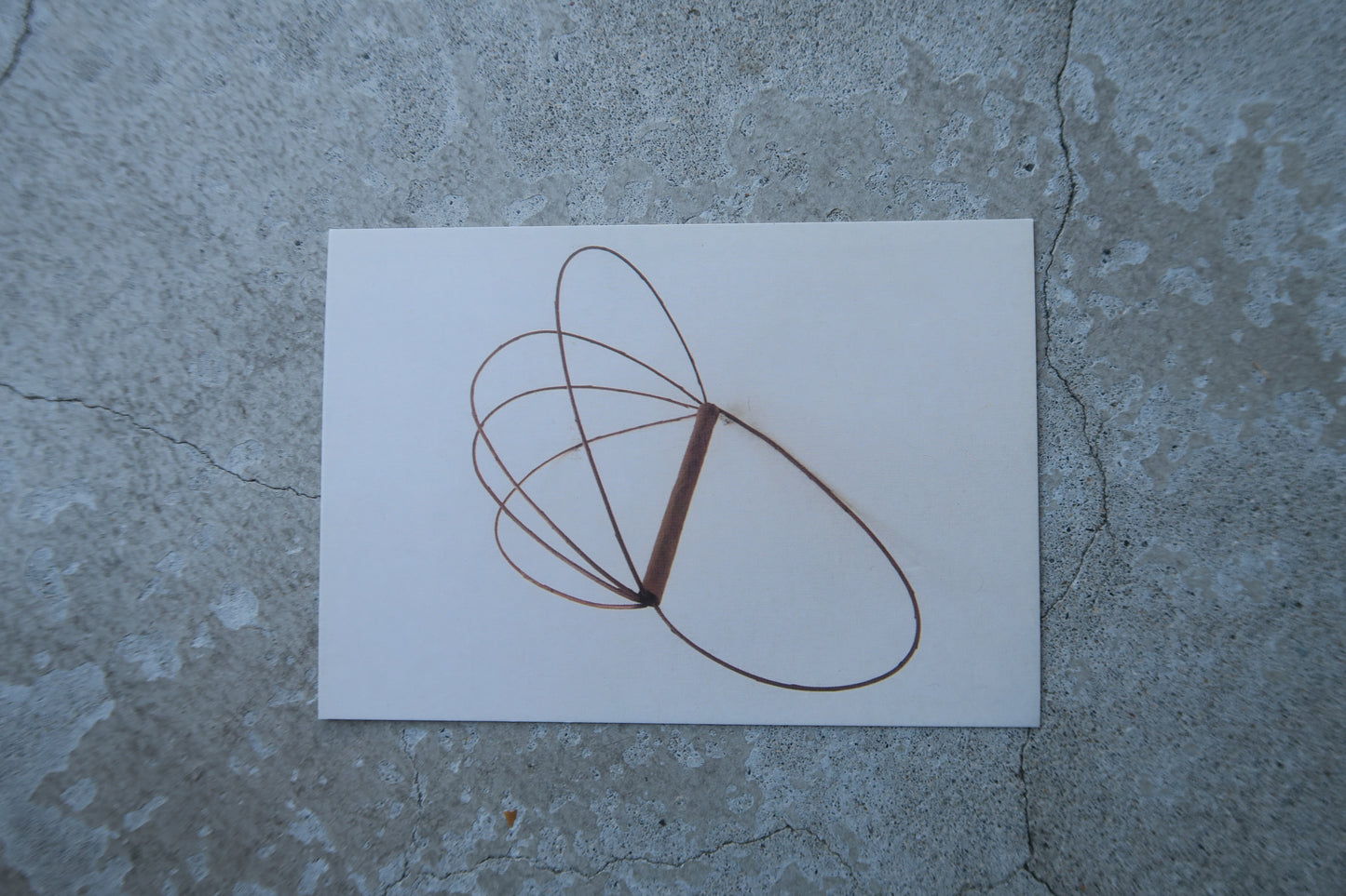 card---selected cards--2026