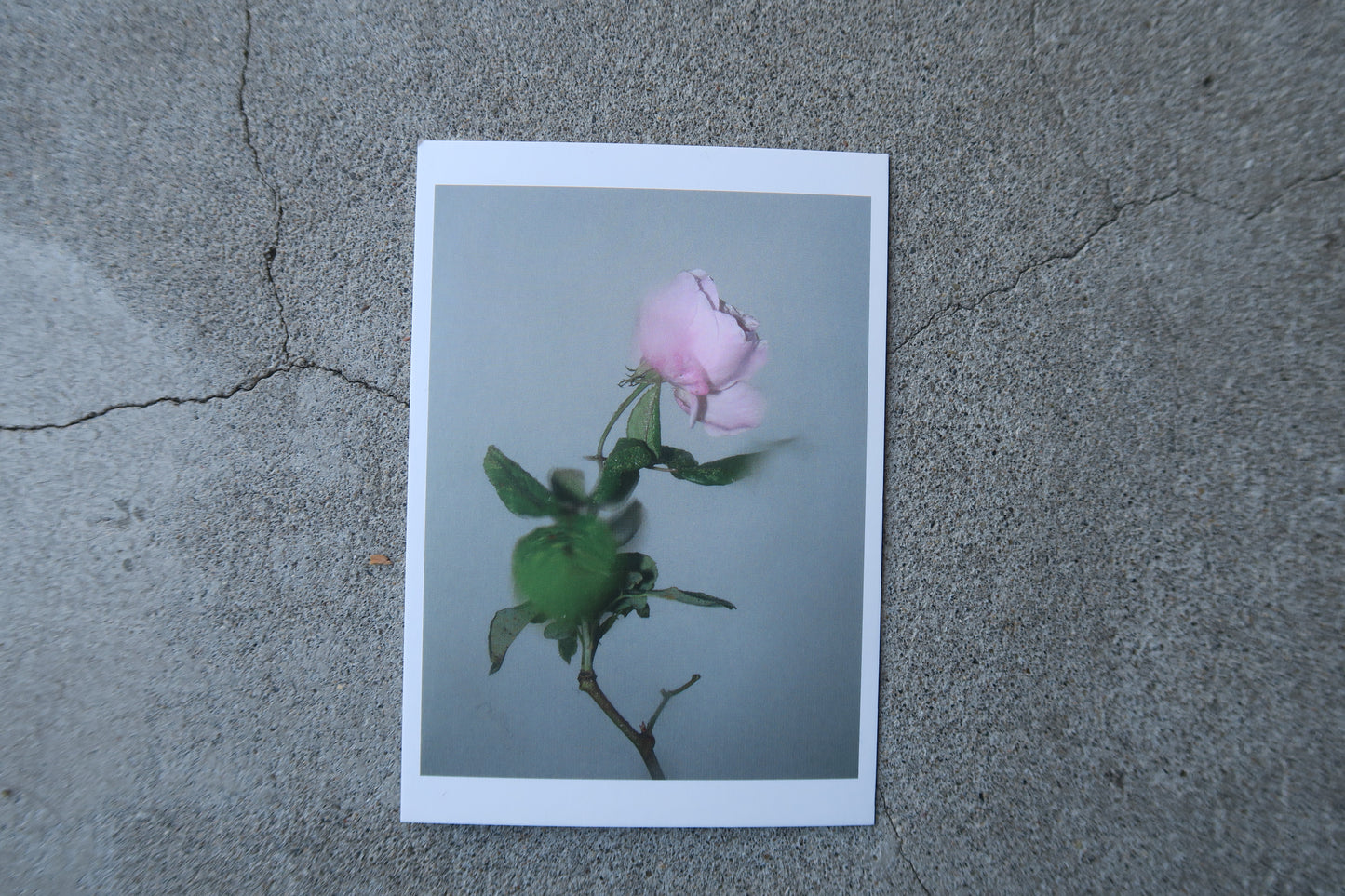 card---selected cards--2026