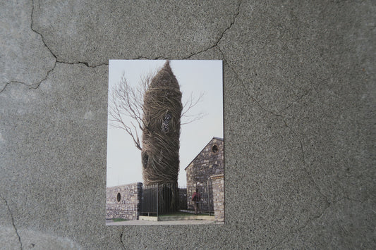 card---selected cards--2026