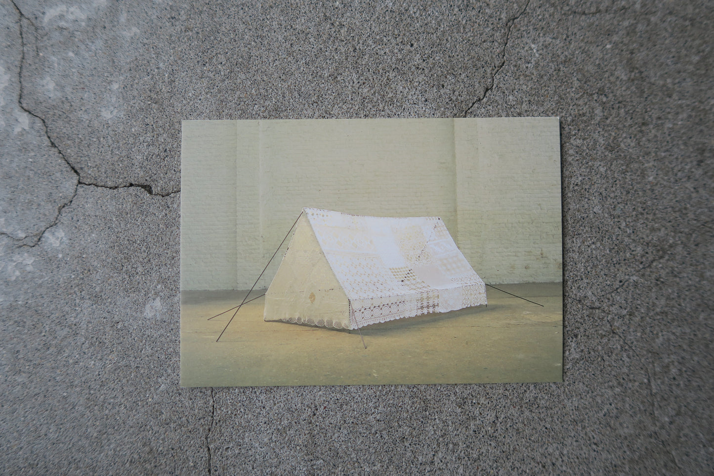 card---selected cards--2026